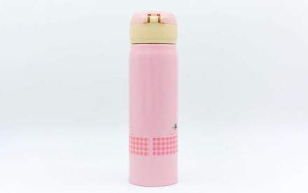 Пляшка-термос 450ml Legend LG-2462