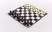 Шахматные фигуры пластиковые с полотном для игр IG-3103-PLAST-SHAHM