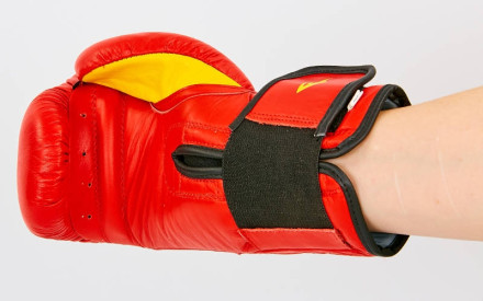 Рукавички боксерські шкіряні Everlast BO-6758-R червоний