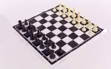 Шахматные фигуры пластиковые с полотном для игр IG-3105C