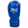 Перчатки боксерские Everlast MA-5018-B (8-12oz)