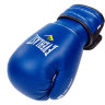 Перчатки боксерские Everlast MA-5018-B (8-12oz)