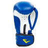 Перчатки боксерские Everlast MA-5018-B (8-12oz)
