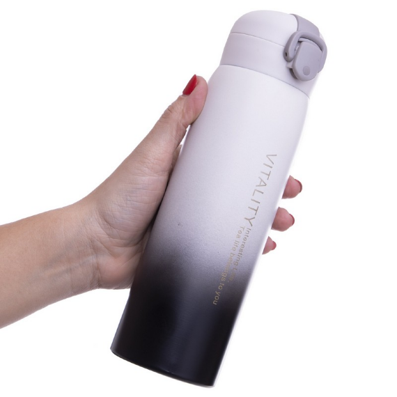 Бутылка термос VITALITY FI-2832 500мл