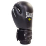 Перчатки боксерские Everlast MA-5018-BK (8-12oz)