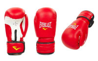 Перчатки боксерские Everlast MA-5018-R (8-12oz)