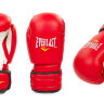 Перчатки боксерские Everlast MA-5018-R (8-12oz)