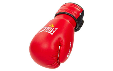 Рукавички боксерські Everlast MA-5018-R (8-12oz)