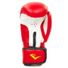 Перчатки боксерские Everlast MA-5018-R (8-12oz)