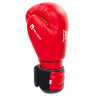 Перчатки боксерские Everlast MA-5018-R (8-12oz)