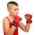 Рукавички для змішаних єдиноборств MMA PU Everlast BO-3207-R