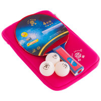 Набір для настільного тенісу Giant Dragon 4* MT-6540