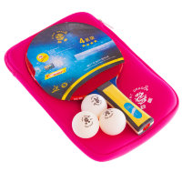 Набір для настільного тенісу Giant Dragon 4* MT-6541