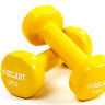 Гантели для фитнеса с виниловым покрытием Zelart Beauty (2x3кг) TA-5225-3