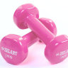 Гантели для фитнеса с виниловым покрытием Zelart Beauty (2x3кг) TA-5225-3