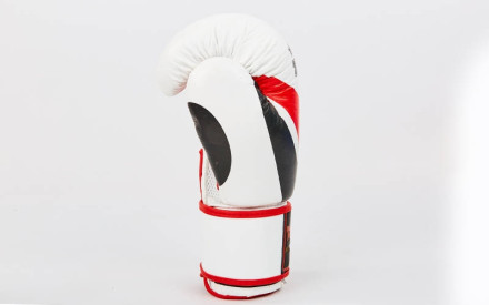 Рукавички боксерські шкіряні TOP TEN MA-6752-W