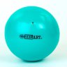 Мяч гимнастический ZEL RG-4497 цвета в аcсортименте 