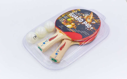 Набір для настільного тенісу Giant Dragon MT-5683 