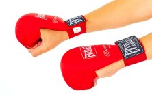 Накладки (перчатки) для карате Everlast BO-3956-R