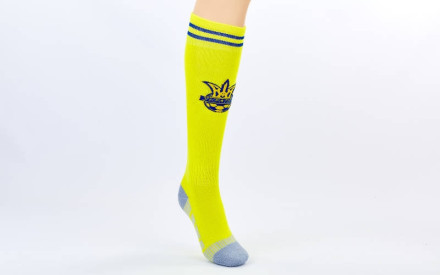 Гетри футбольні дитячі Збірна України ETM1720