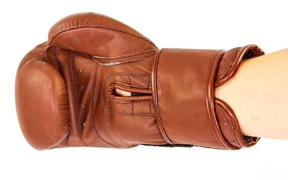 Перчатки боксерские кожаные Bad Boy VL-6618-BR (10-14oz)