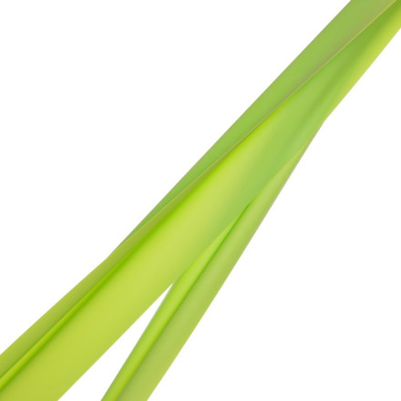 Гумки для фітнесу набір LOOP BANDS BODY POWER SP-Sport FI-2184 5шт