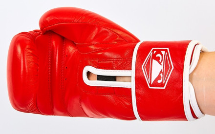 Рукавички боксерські шкіряні BAD BOY VL-6615-R