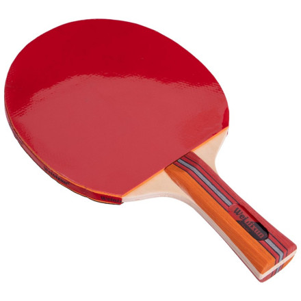 Набір для настільного тенісу Weinixun MT-2113