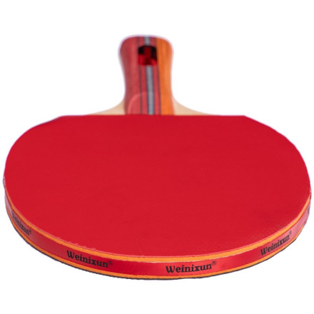 Набір для настільного тенісу Weinixun MT-2113