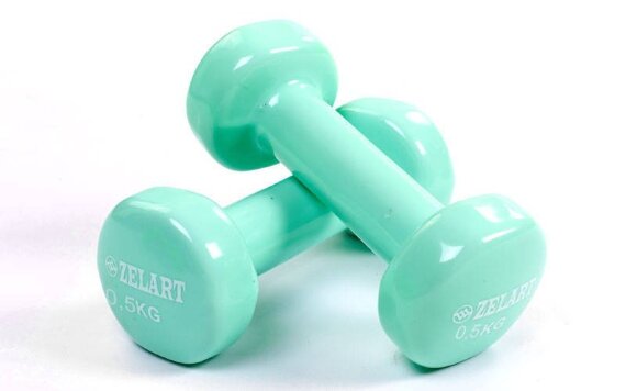 Гантели для фитнеса с виниловым покрытием Beauty (2x0,5кг) TA-5225-0,5