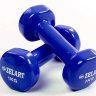 Гантели для фитнеса с виниловым покрытием Beauty (2x1кг) TA-5225-1