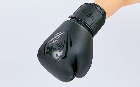 Перчатки боксерские Venum BO-8351-BK черный
