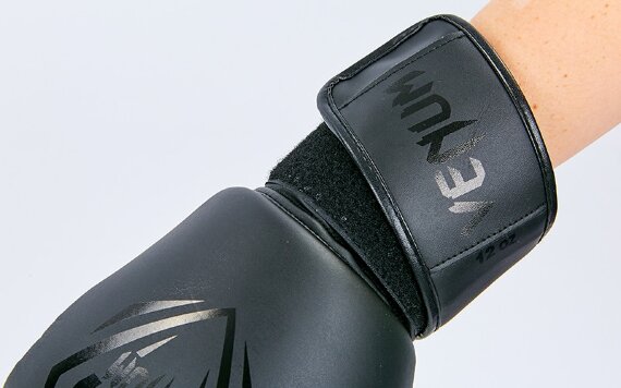 Перчатки боксерские Venum BO-8351-BK черный