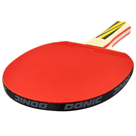 Ракетка для настільного тенісу DNC LEVEL 500 MT-8388 TOP TEAM