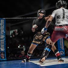 MMA та змішані єдиноборства