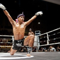 Тайський бокс (муай-тай)