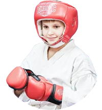 Єдиноборства